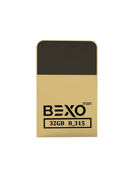 B-315 (Shiny Gold)