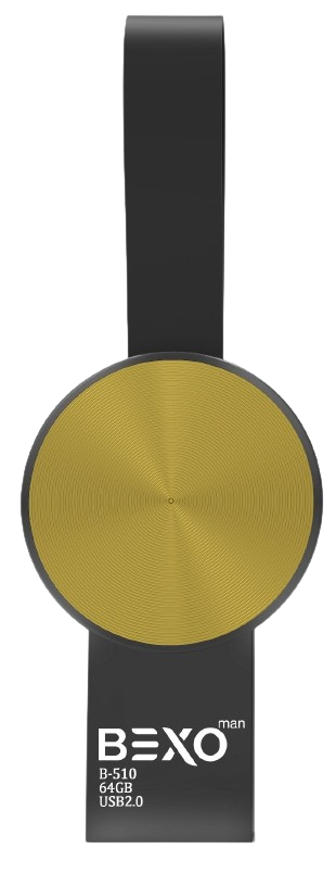 B-510 (Shiny Black)